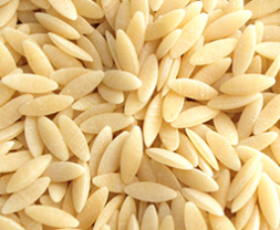 Barley Noodle